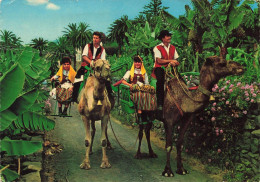 Delcampe - [-15%] ESPAGNE - Tenerife - Plantations And Typical Costumes - Animé - Carte Pos - Tenerife