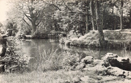 Delcampe - 91 MASSY VUE SUR LE LAC - Massy