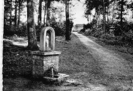 Delcampe - Bruly-de-Pesches – Fontaine St-Meen - Couvin