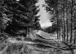 Delcampe - Houffalize – Vallée De Rendoux - Houffalize