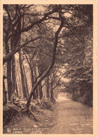 Delcampe - Mont-de-l'Enclus – Route De La Tour - Mont-de-l'Enclus