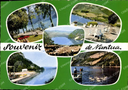 Delcampe - CPA Nantua Ain La Plage Vue Generale Avenue Du Lac Monument Aux Deportes De L'Ain Le Lac Et Les Cygn - Nantua
