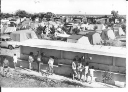 Delcampe - Cpsm 34 CARNON  Camping Centre Familiale Tourisme Et Travail - Mauguio