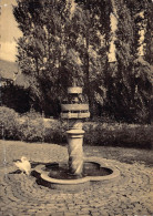 Delcampe - Damme – Museum Van Maerlant – La Fontaine - Damme