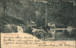 Delcampe - Weggis Vierwaldstaettersee Weggis Luetzelau - Sonstige & Ohne Zuordnung
