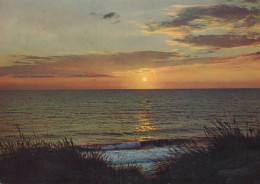 Delcampe - Deutschland Norderney Sonnenuntergang Nordsee Meer Küste #SEC425 - Norderney