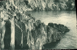 Delcampe - CPA Les Rochers Du Troyas - Champagne-Ardenne