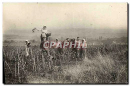Delcampe - CARTE PHOTO Vin Vendanges - Weinberge