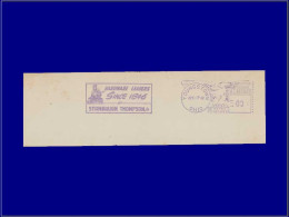 Delcampe - Tir (Armes) - Année: 1949 - USA,BAN. YOUNGSTOWN:"Stambaugh".Trappeur* (D. Crockett?) - Tir (Armes)