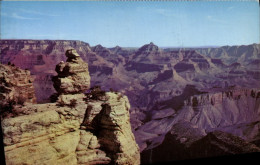 Delcampe - CPM Arizona Duck On The Rock Grand Canyon National Park - Grand Canyon