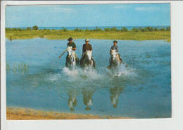 Delcampe - Bouches Du Rhône : La Camargue- Gardian , Cheval , Mejanes - Other & Unclassified