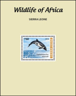 Delcampe - SIERRA LEONE 2026 SS1V - WILDLIFE OF AFRICA -  DOLPHIN DOLPHINS - MNH - Delfine