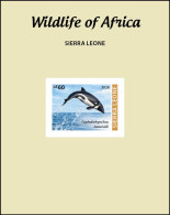 Delcampe - SIERRA LEONE 2026 DELUXE PROOF - WILDLIFE OF AFRICA -  DOLPHIN DOLPHINS - Delfine