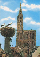 Delcampe - 67 STRASBOURG SOUVENIR DE STRASBOURG - Strasbourg