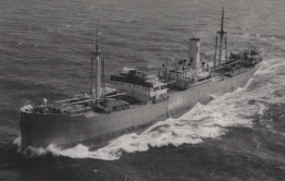 Delcampe - Cargo Ship CAPALDIRE Postcard Size Real Photo #SES876 - Handel