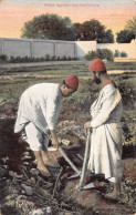 Delcampe - Fellahs Egyptiens Travaillant La Terre - Sonstige & Ohne Zuordnung