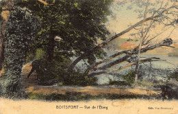 Delcampe - Boitsfort – Vue De L'Etang - Watermael-Boitsfort - Watermaal-Bosvoorde