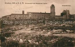 Delcampe - Brocken Harz Hotel Mit Botanischem Garten Observatorium - Wernigerode