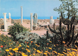 Delcampe - TUNISIE CARTHAGE L ANTIQUARIUM - Tunesien