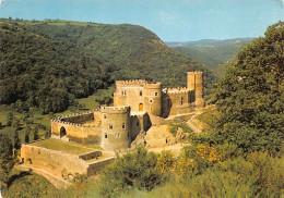 Delcampe - 03 Chouvigny Le Chateau Gorges De La Sioule 8 / MA191 - Vichy