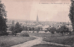 Delcampe - 78 ORGEVAL VUE PANORAMIQUE - Orgeval