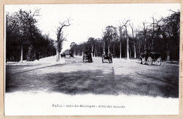 Delcampe - 24255 / ◉  BOIS De BOULOGNE PARIS XVIe L'Allée Des ACCACIAS Cliché 1900sEtat: PARFAIT - Paris (16)
