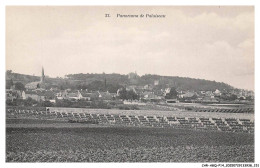 Delcampe - CAR-AGQP14-0787-91 - PALAISEAU - Paanorama - Palaiseau