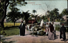 Delcampe - CPA Alexandria Ägypten, View Of Sidy Gaber - Sonstige & Ohne Zuordnung