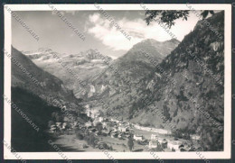 Delcampe - Vercelli Alagna Sesia Panorama Foto FG Cartolina BB3098 - Vercelli
