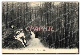 Delcampe - CPA Chatel Guyon Vallee De Sans Souci - Châtel-Guyon
