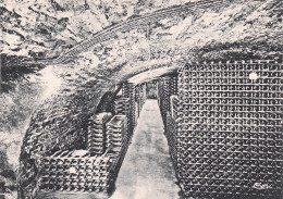 Delcampe - 21 BEAUNE UN CAVEAU DE BOUTEILLES A LA MAISON PATRIARCHE - Beaune