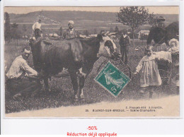 Delcampe - BLANGY-sur-BRESLE: Scène Champêtre, Vache, Agriculture - Très Bon état - Blangy-sur-Bresle