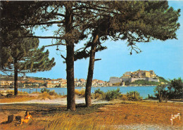Delcampe - CALVI La Citadelle Vue De La Pinede Bordant La Plage 12(scan Recto-verso) MA556 - Calvi