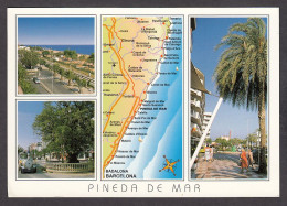 Delcampe - 091244/ PINEDA DE MAR - Barcelona