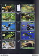Delcampe - Telecartes Carte Telephonique Phonecard Espagne 10 Cartes - Autres & Non Classés