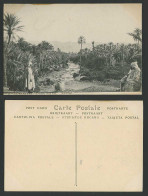 Delcampe - Algeria Old Postcard El Kantara, Oasis South Side L'Oasis Cote Sud, River, Palms - Sonstige & Ohne Zuordnung