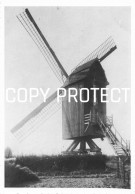 Delcampe - Dilbeek Molen - Repro - Dilbeek