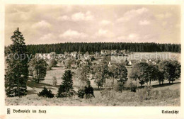 Delcampe - Bockswiese-Hahnenklee Harz Panorama - Goslar