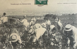 Delcampe - Vendanges En Beaujolais - Collection LAMARSALLE, Villefranche - Weinberge
