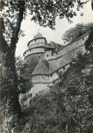 Delcampe - CPA Chateau Du Haut Koenigsbourg Bas Rhin Tour Au Nord Est - Schlösser