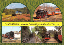 Delcampe - Eisenbahn Selketalbahn älteste Schmalspurbahn Mehrbildkarte Gl1995 #305.971 - Eisenbahnen