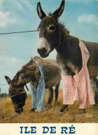 Delcampe - Carte Postale - Animaux - Anes - Ile De Ré - Anes En Culotte - CPM - Voir Scans Recto-Verso - Ezels