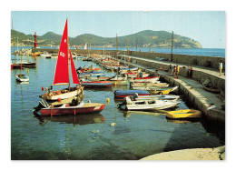 Delcampe - Saint-Cyr-les-Lecques, Vue Du Port Et De La Fauconnière, CPA, France - Les Lecques