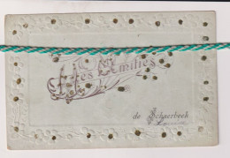 Delcampe - Mes Amities De Schaerbeek, Schaarbeek, 1907, Carte Relief, Reliefkaart - Schaerbeek - Schaarbeek