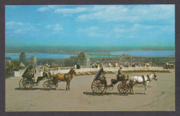Delcampe - 114786/ MONTRÉAL, Calèches Sur Le Mont-Royal - Montreal