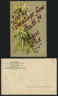 Delcampe - Loving Greetings South St. Ponders Old Novelty Postcard - Gruss Aus.../ Grüsse Aus...