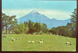 Delcampe - MI) CIRCA 1970 NEW ZEALAND, POSTCARD,WITH MOUNT EGMONT AND FLOCKS OF SHEEP GRAZING IN A MEADOW ON THE NORTH ISLAND,XF. - Gebraucht