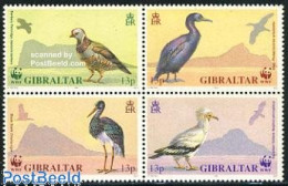 Delcampe - Gibraltar 1991 WWF, Birds 4v [+] Or [:::], Mint NH, Nature - Birds - World Wildlife Fund (WWF) - Gibraltar