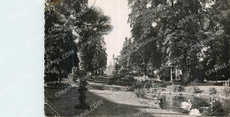 Delcampe - CPM St Chatellerault Vienne Le Jardin Public - Chatellerault