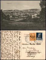 Delcampe - Ansichtskarte Deggendorf Blick Auf Die Stadt 1920  Gel. MF - Deggendorf